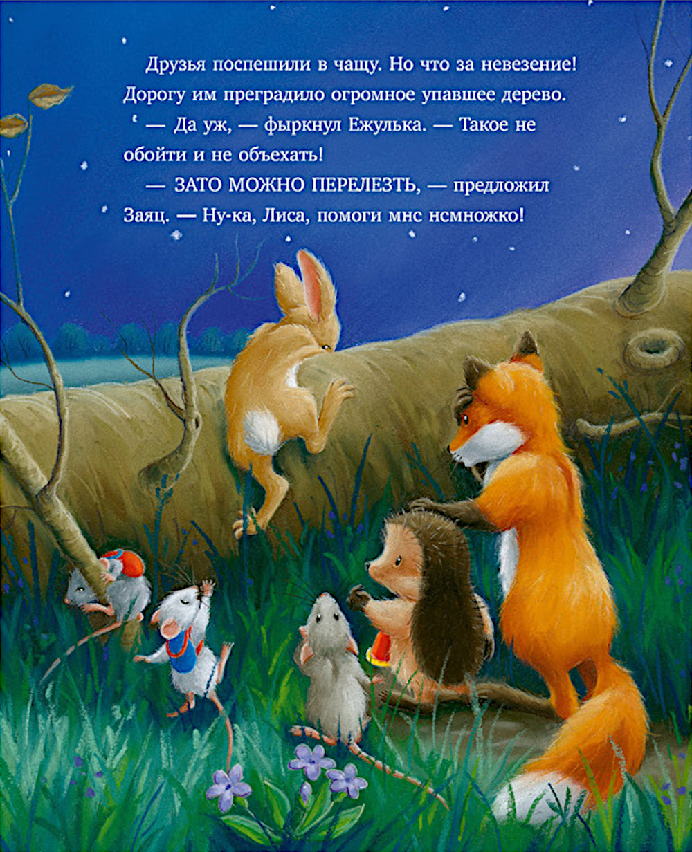 Самая звездная ночь