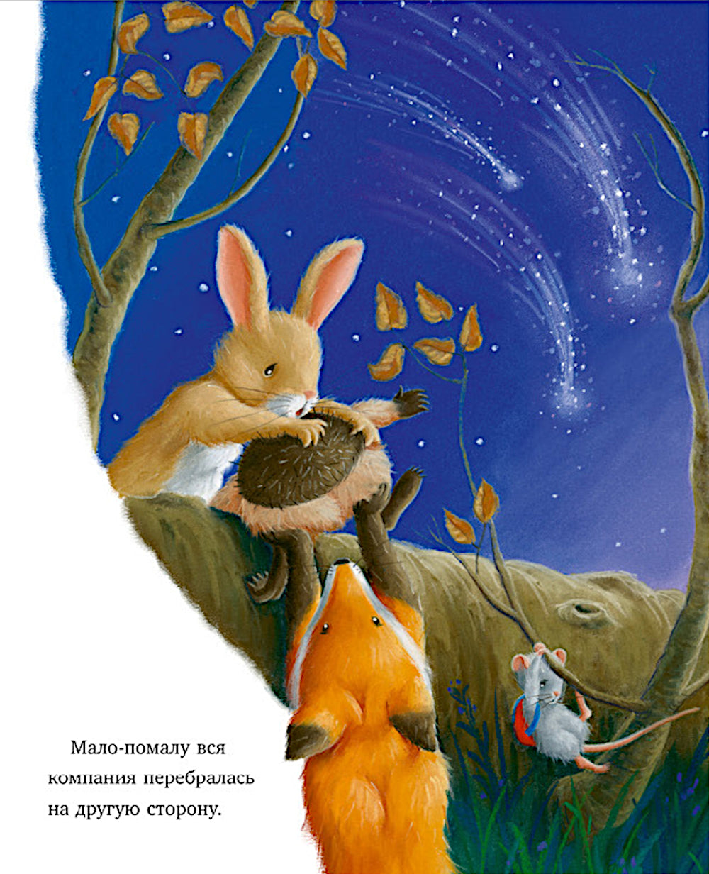 Самая звездная ночь