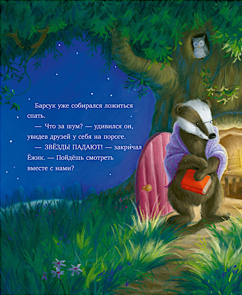 Самая звездная ночь