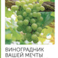 Виноградник вашей мечты. Простое руководство по выращиванию в любом уголке России