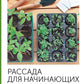 Рассада для начинающих. Первые шаги к богатому урожаю