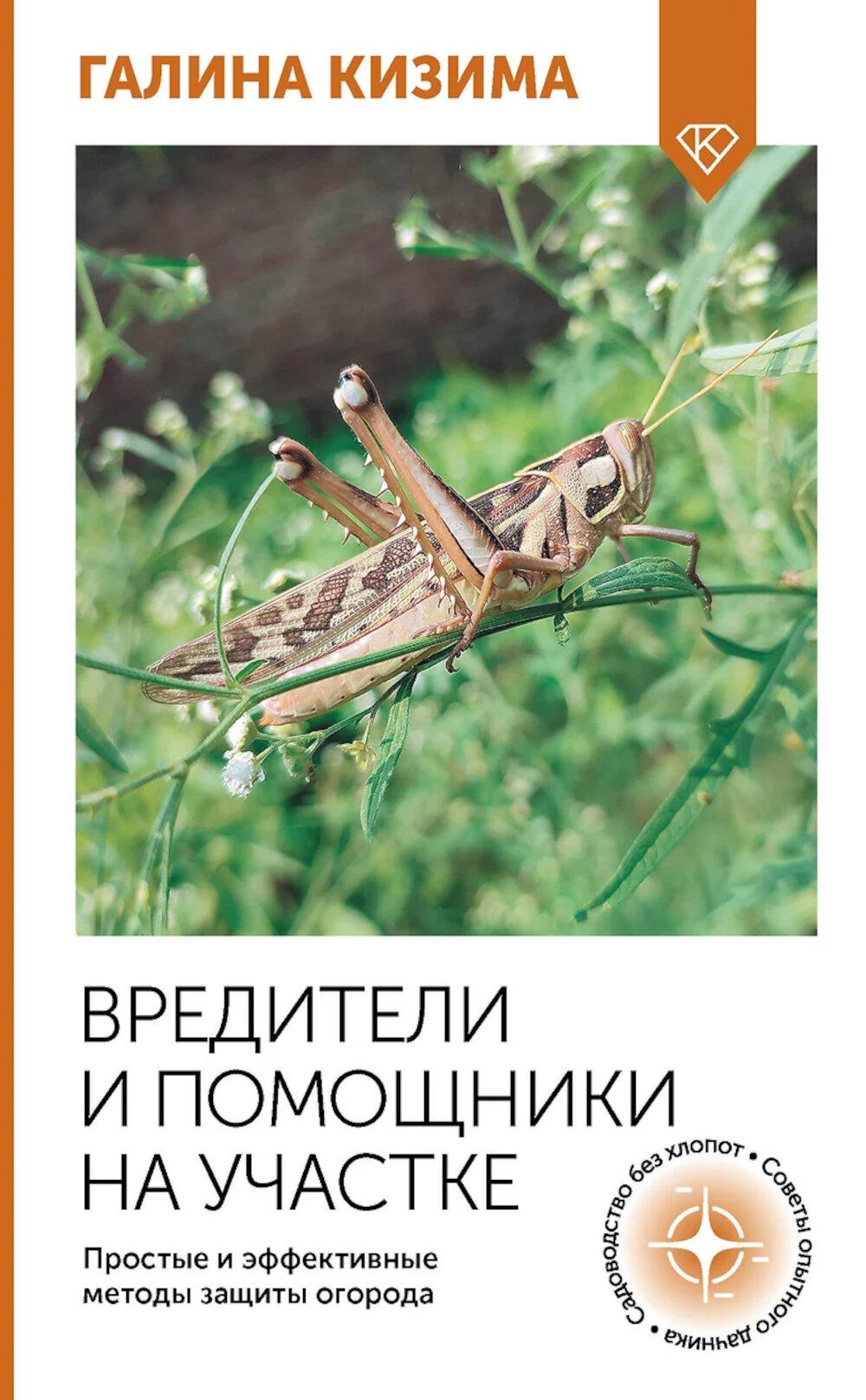 Les agences de presse et les agences de voyages sont à votre disposition. Méthodes efficaces et efficaces pour le bien-être