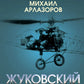 Жуковский. Жизнь отца русской авиации
