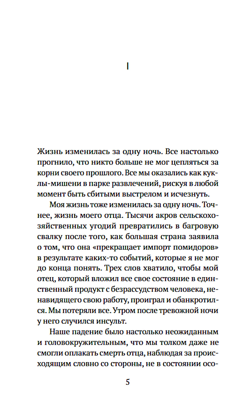 Мадам Хаят: роман