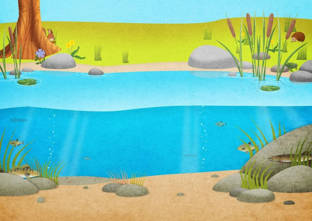 Моя книга наклеек. Природа (более 300 наклеек)