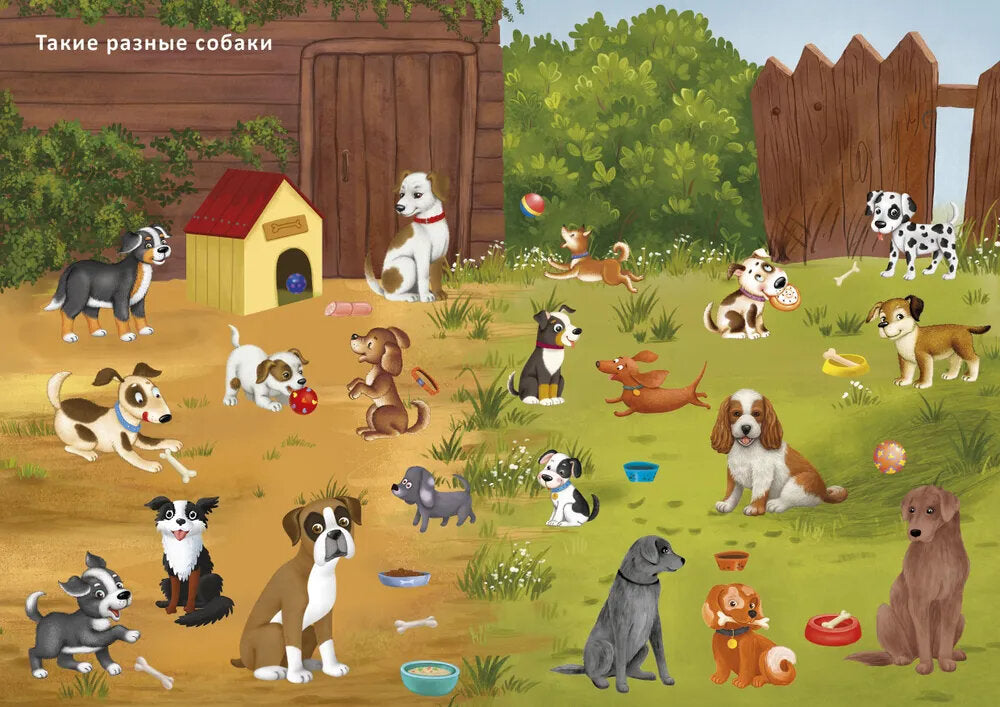 Книга с наклейками и заданиями. Такие разные животные (более 200 наклеек)