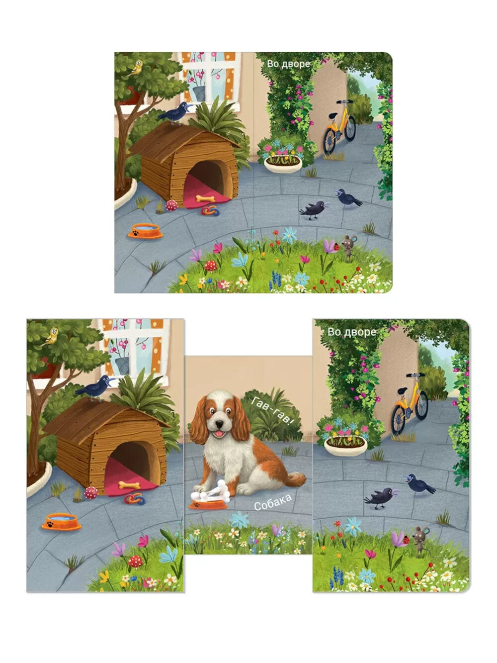 Кто где живет?