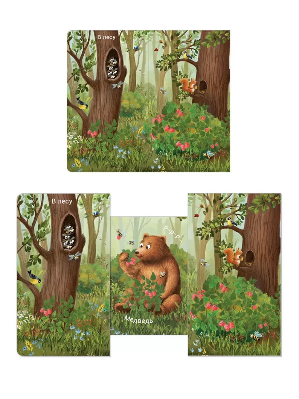 Кто где живет?