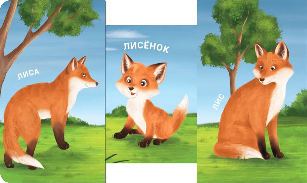 Мама, папа и малыш. Дикие животные