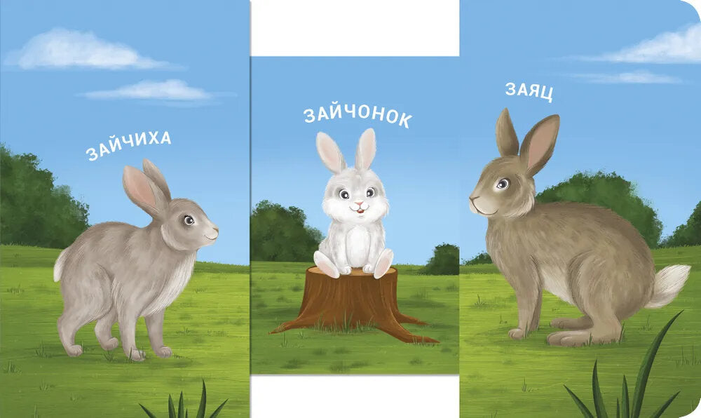 Мама, папа и малыш. Дикие животные