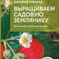 Выращиваем садовую землянику. Настольный справочник дачника