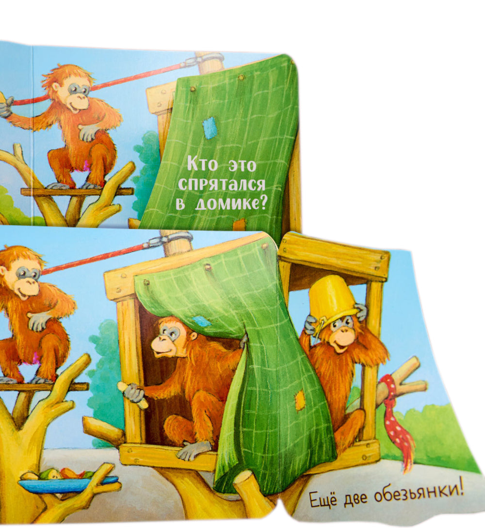 Coucou ! Qu'est-ce que le zoo?: книжка-раскладушка