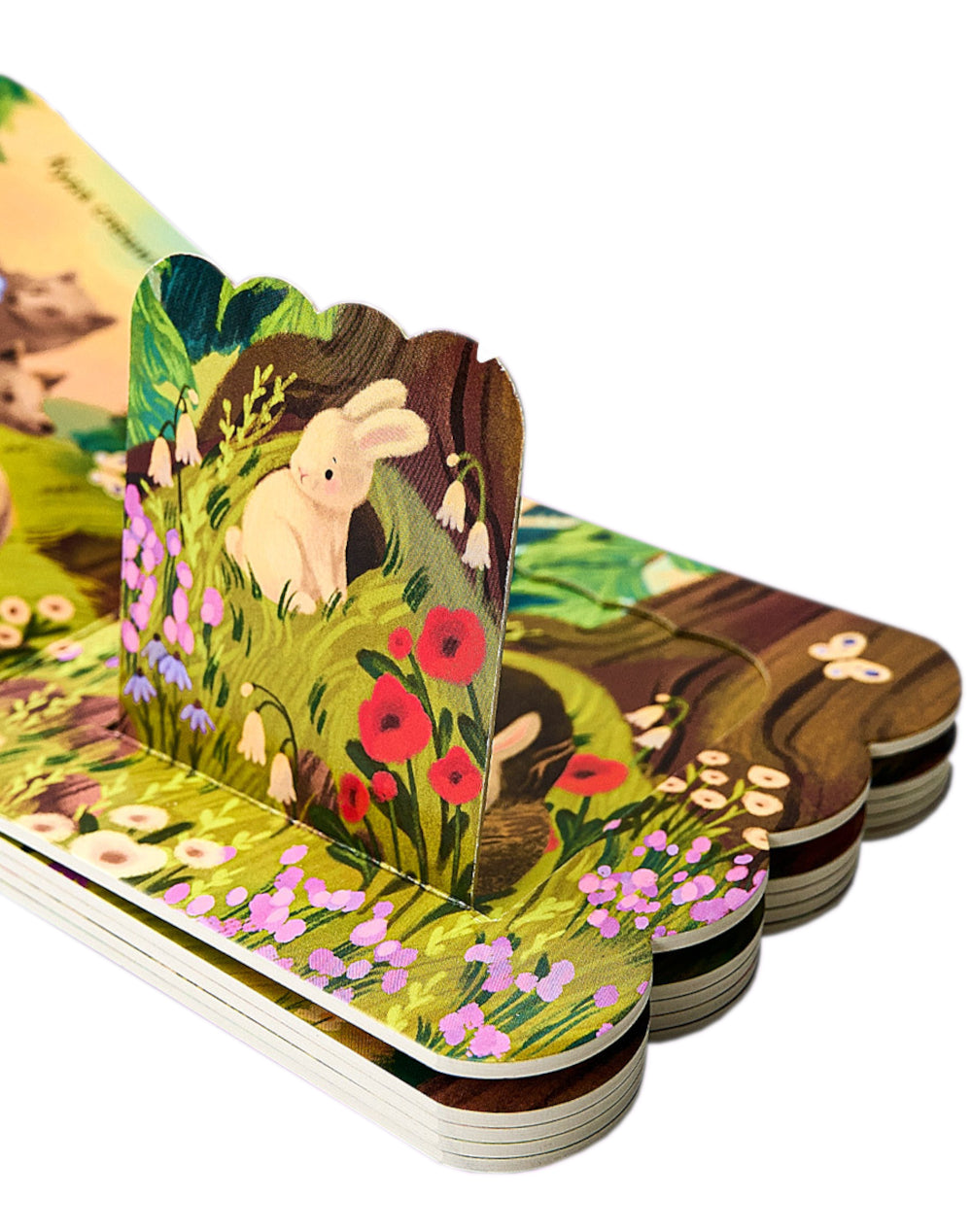 Лес: книжка с окошками