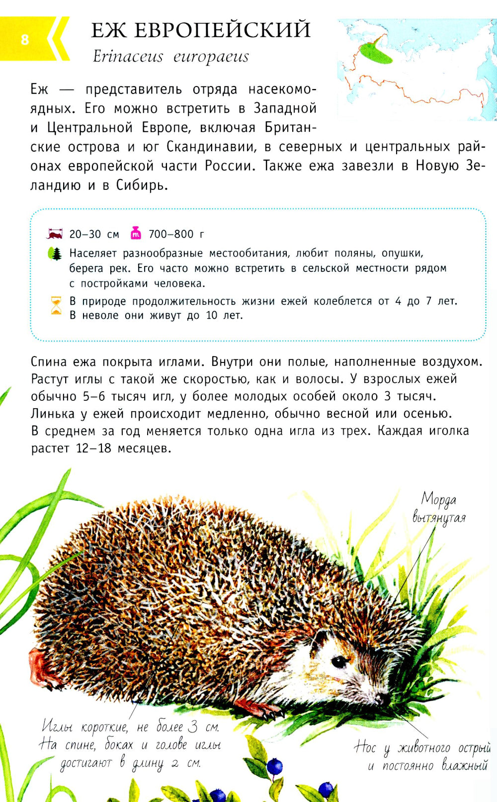 Животные России со звуками. Определитель