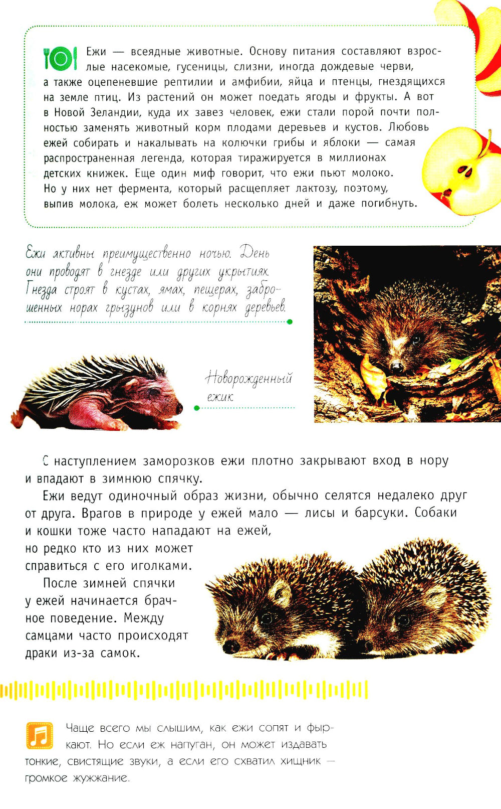 Животные России со звуками. Определитель