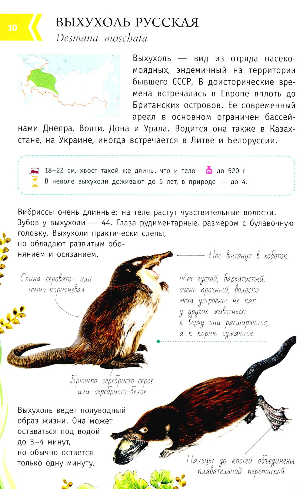 Животные России со звуками. Определитель