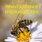 Приусадебное пчеловодство. 5-е изд., доп