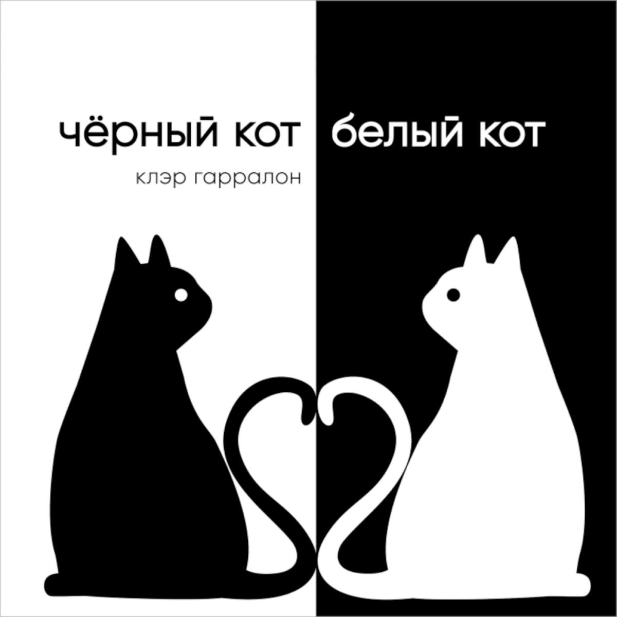 Черный кот, белый кот