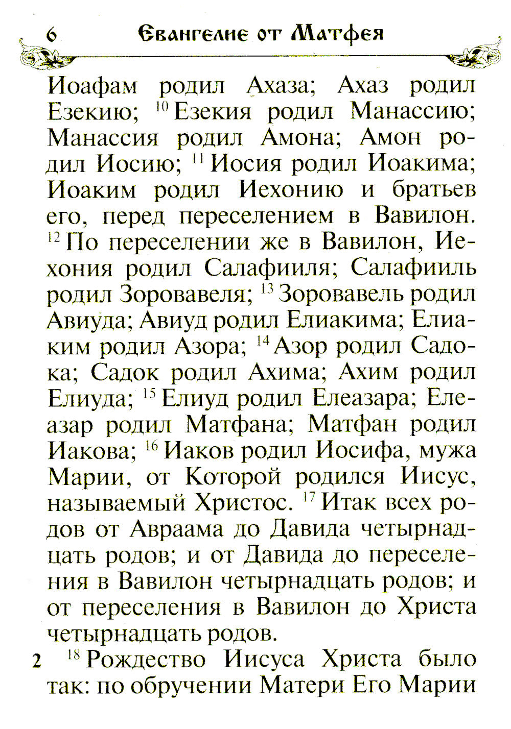Святое Евангелие. (бордо)