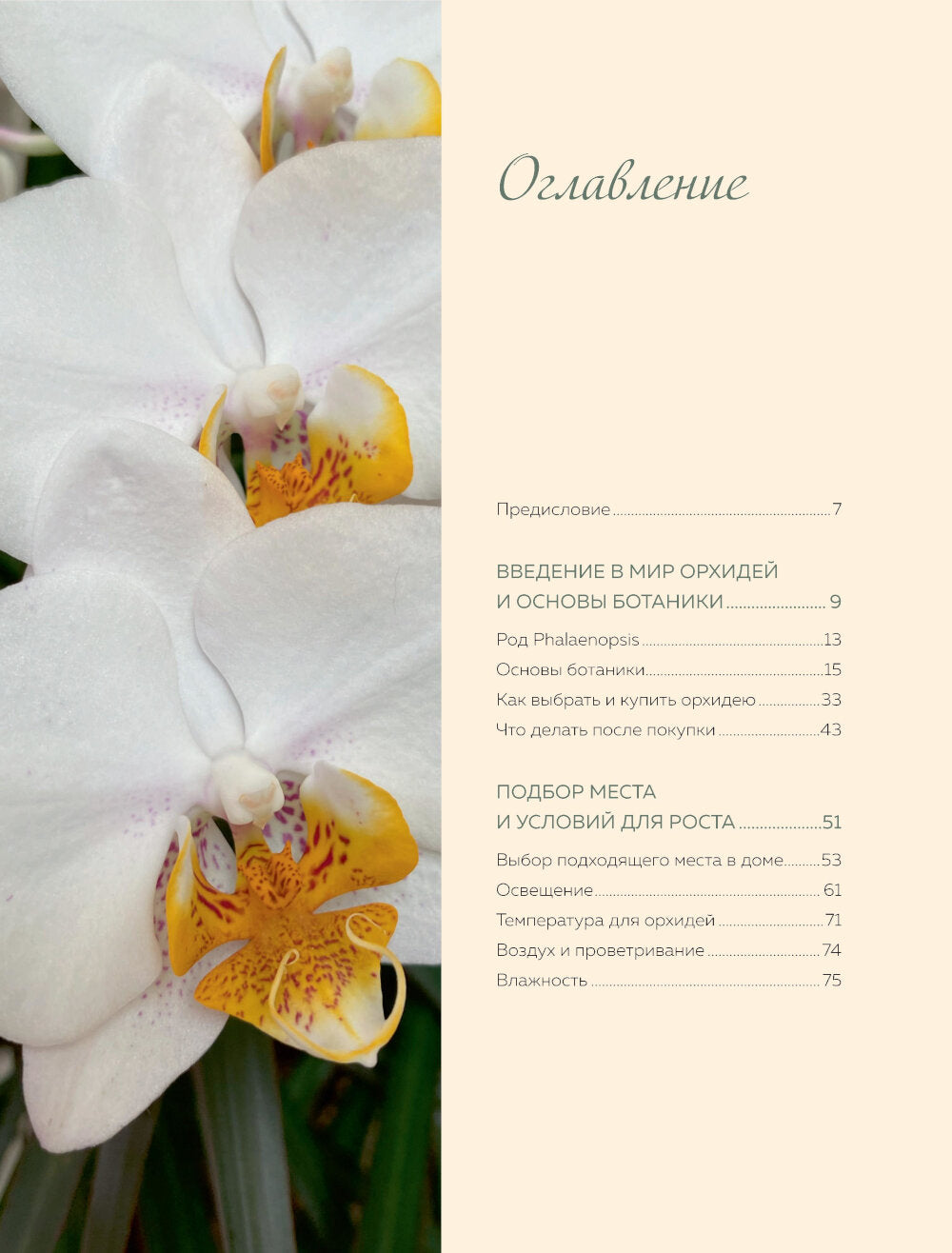 Великолепные орхидеи. Практическое руководство по уходу для начинающих