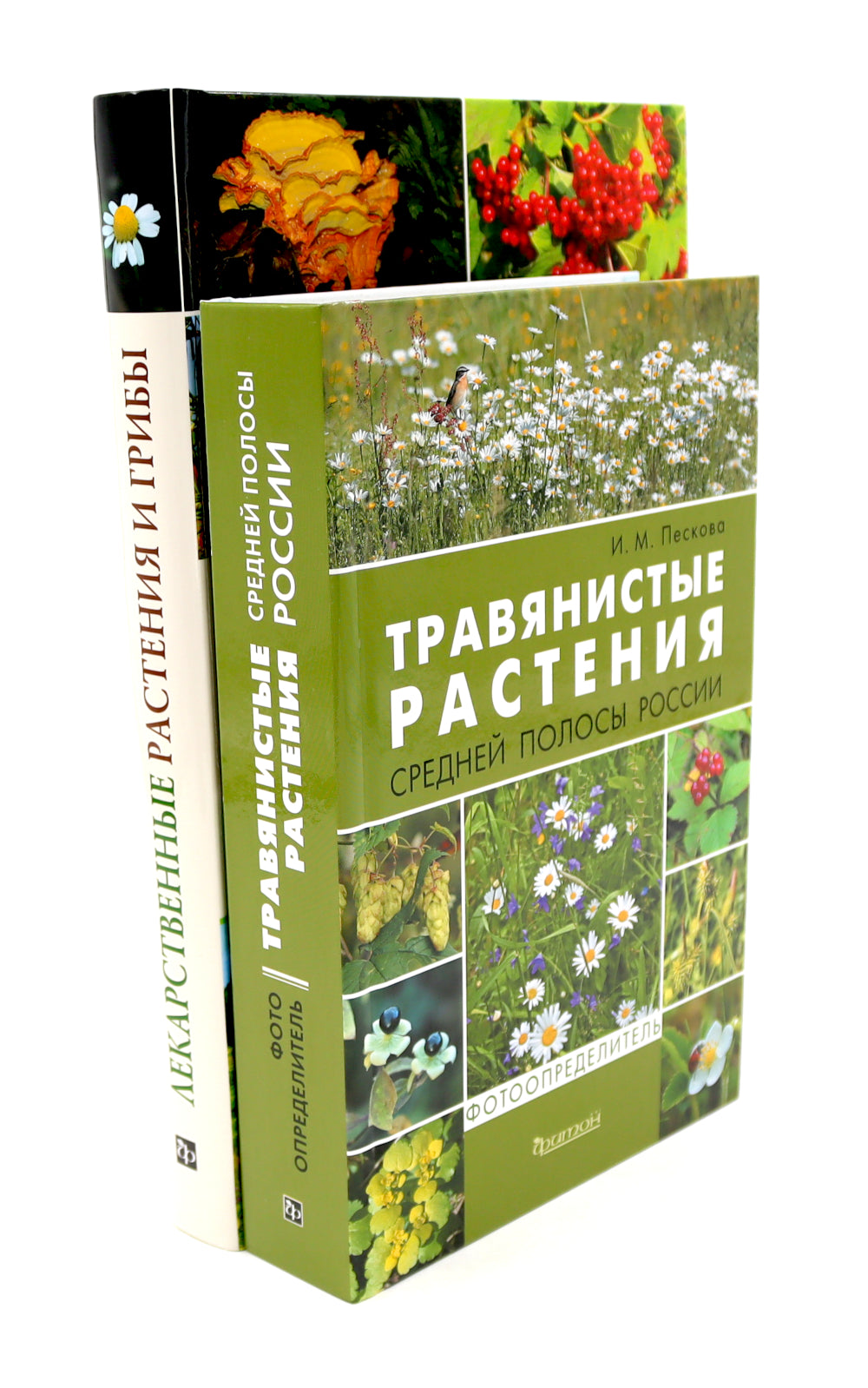 Растения средней полосы России: Фотоопределители (комплект из 2-х книг)