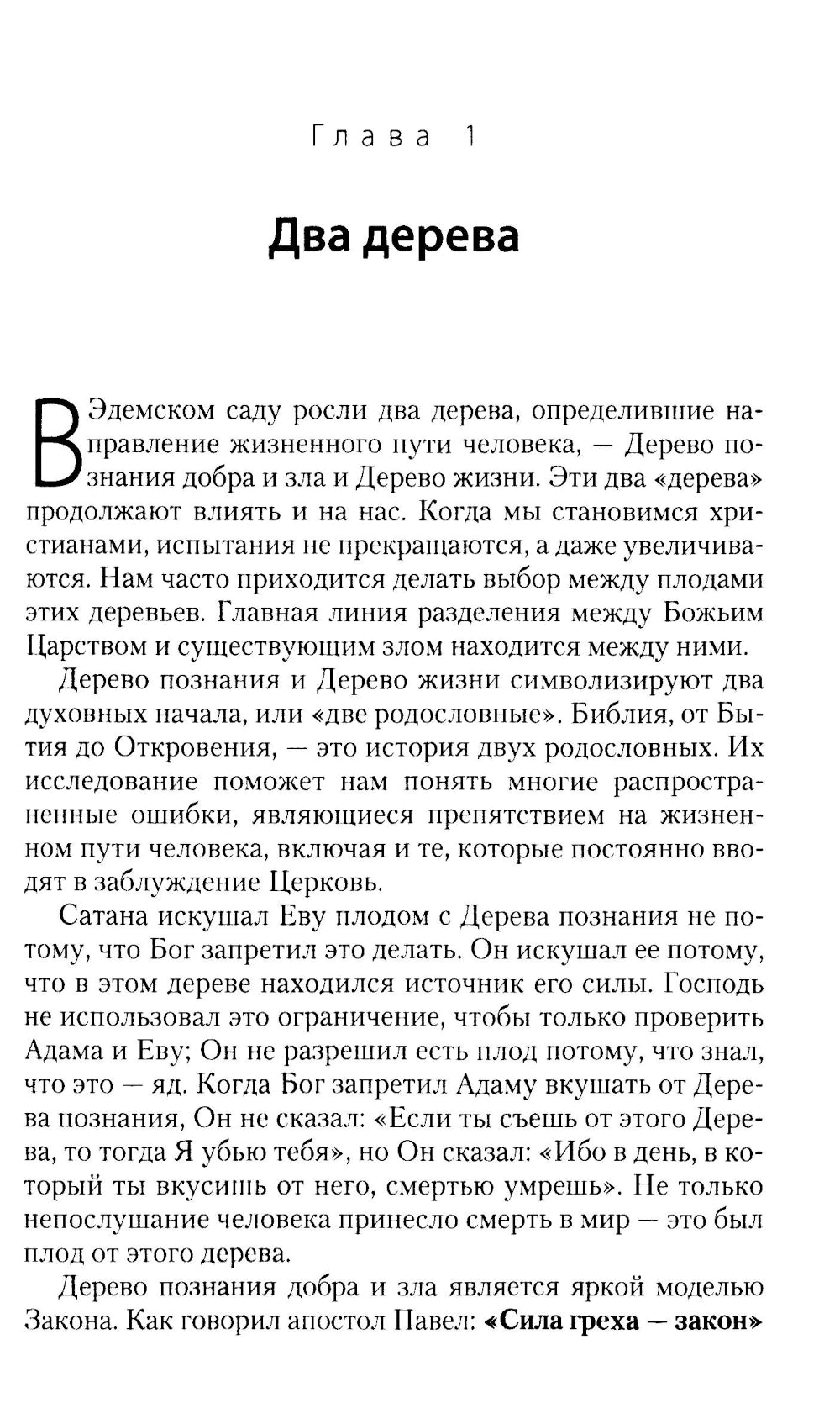 Два дерева в саду