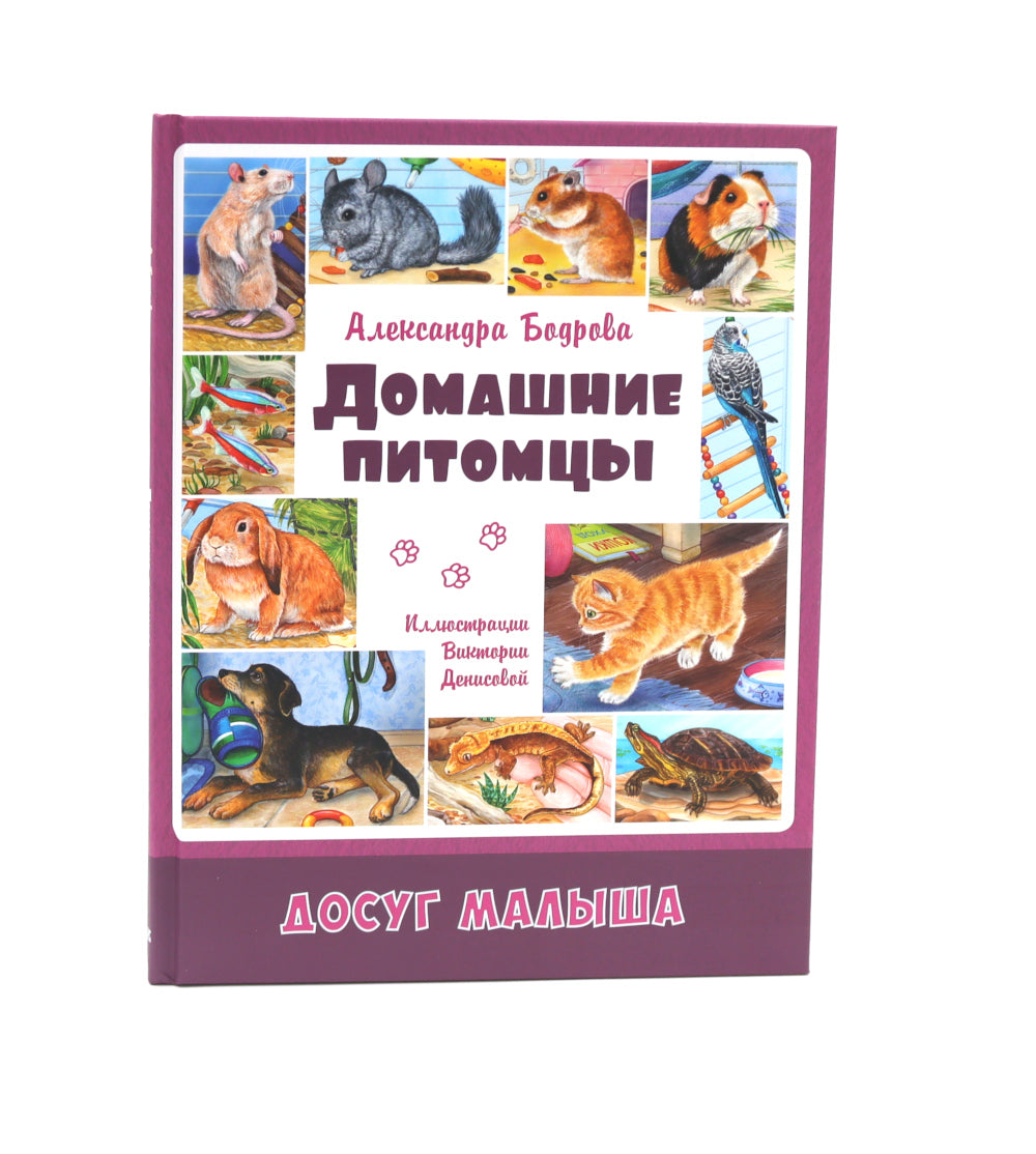 Домашние питомцы