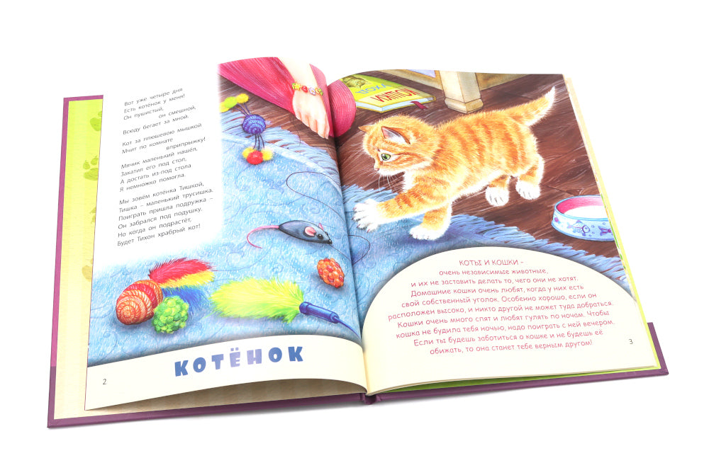 Домашние питомцы