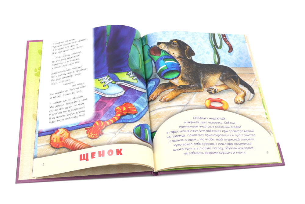 Домашние питомцы