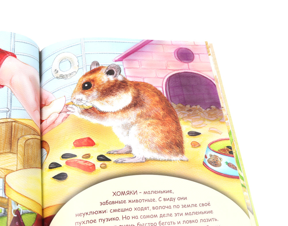 Домашние питомцы