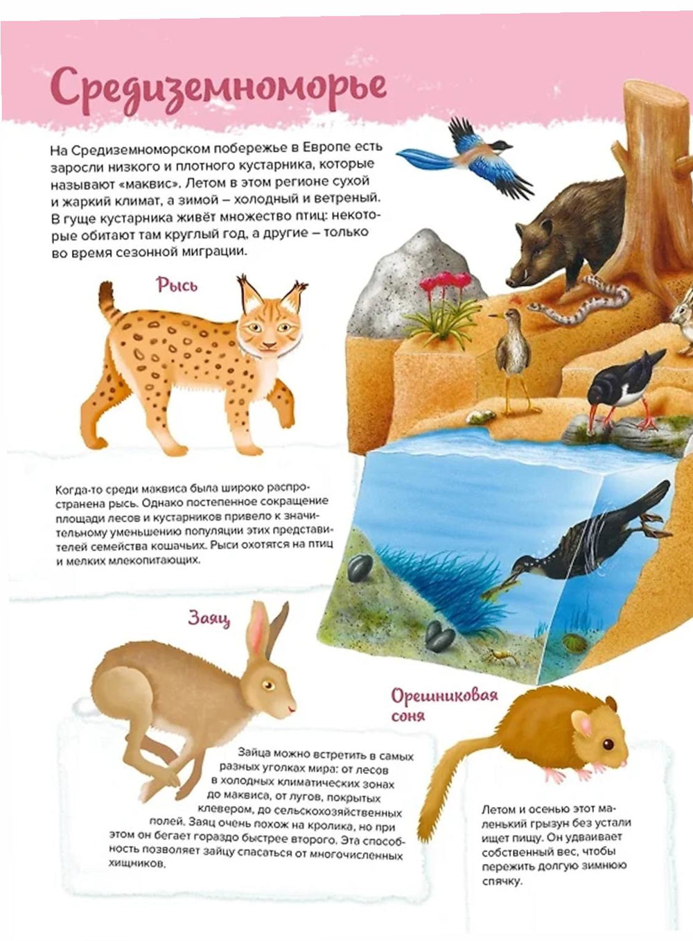 Животные. Мой первый атлас в картинках