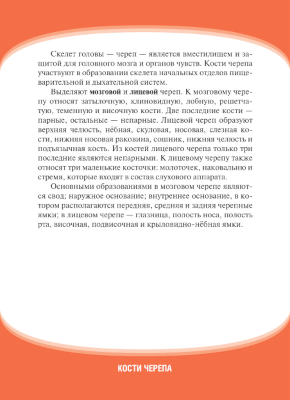 Анатомия человека. Кости черепа. Карточки + кольцо для стяжки карточек: наглядное учебное пособие