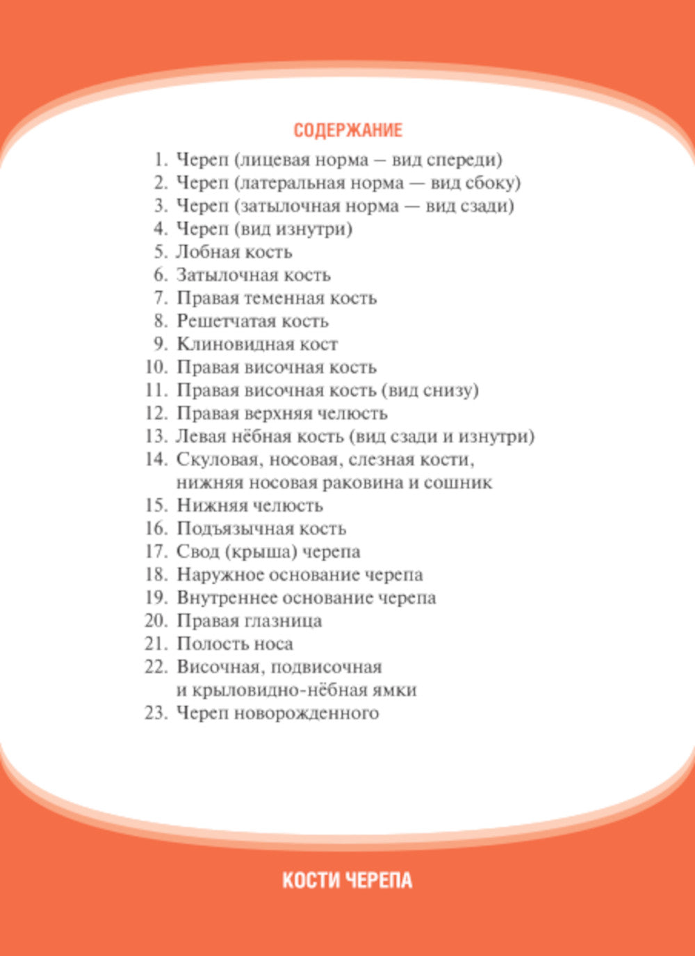 Анатомия человека. Кости черепа. Карточки + кольцо для стяжки карточек: наглядное учебное пособие