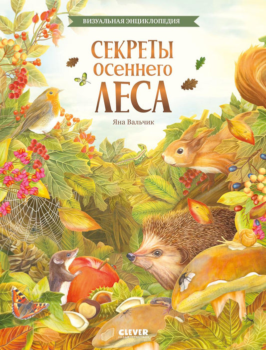 Секреты осеннего леса. Визуальная энциклопедия