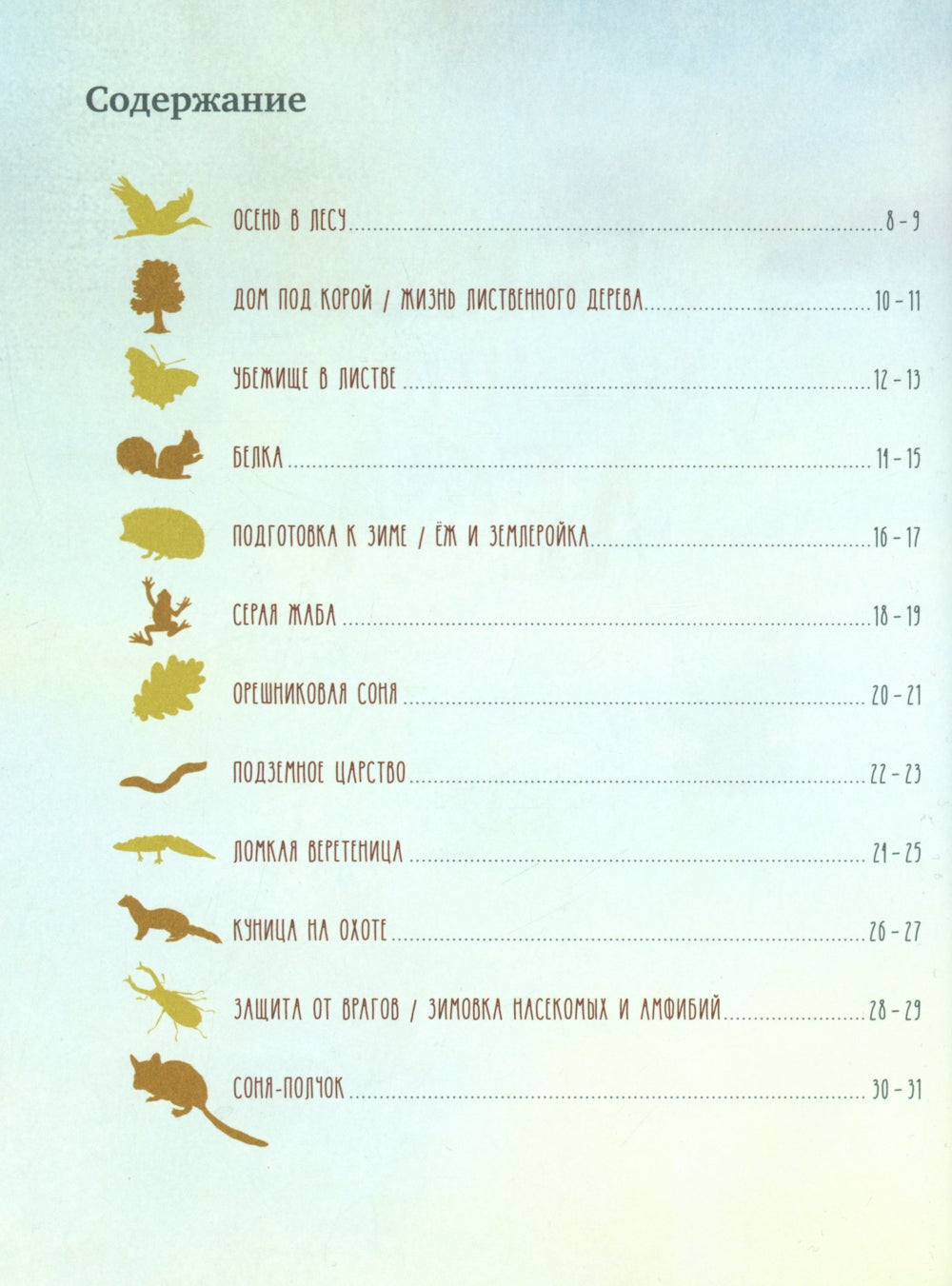 Секреты осеннего леса. Визуальная энциклопедия