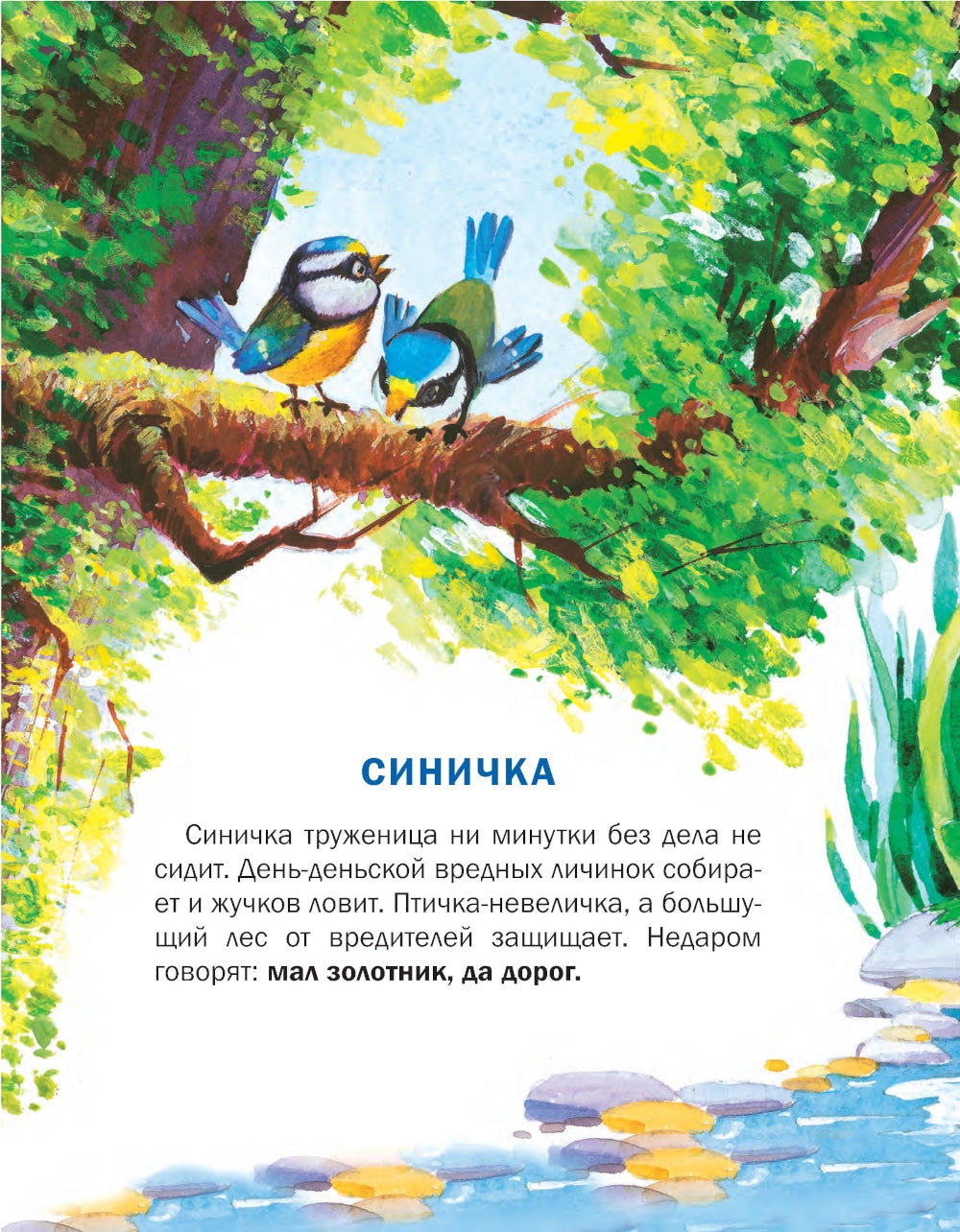 Познавайка