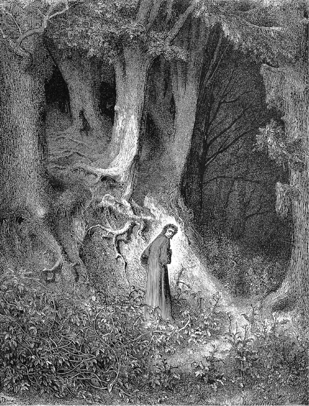 Божественная комедия