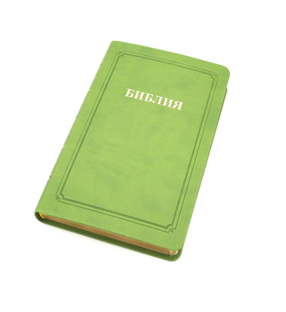 Bibliothèque 055 MTiG ИИЖ (Зеленый)