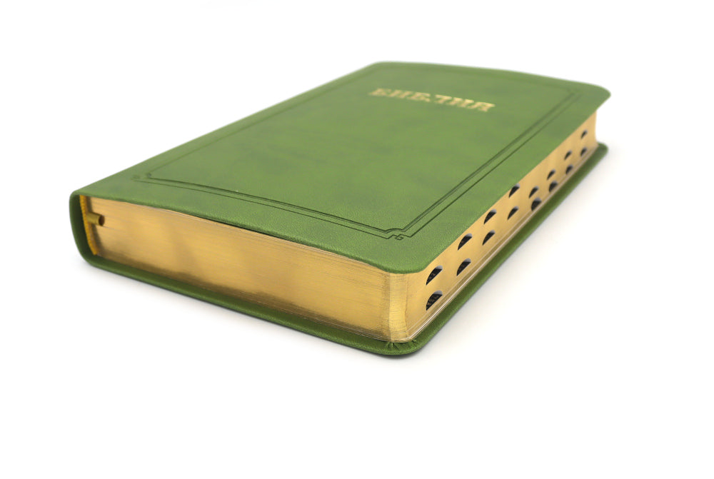 Bibliothèque 055 MTiG ИИЖ (Зеленый)