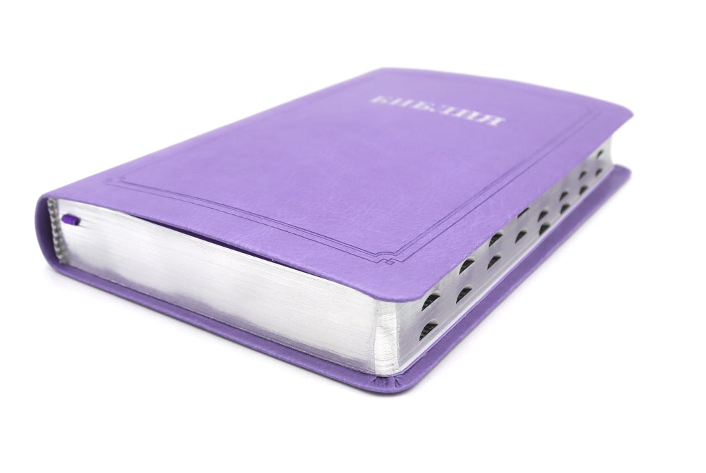 Bibliothèque 055 MTiS ИИЖ (Фиолетовый)