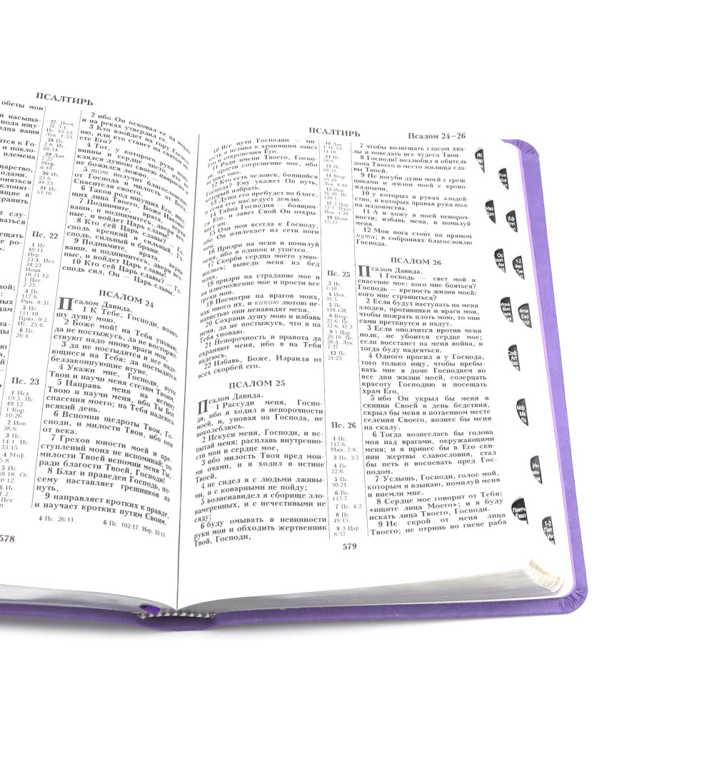 Bibliothèque 055 MTiS ИИЖ (Фиолетовый)