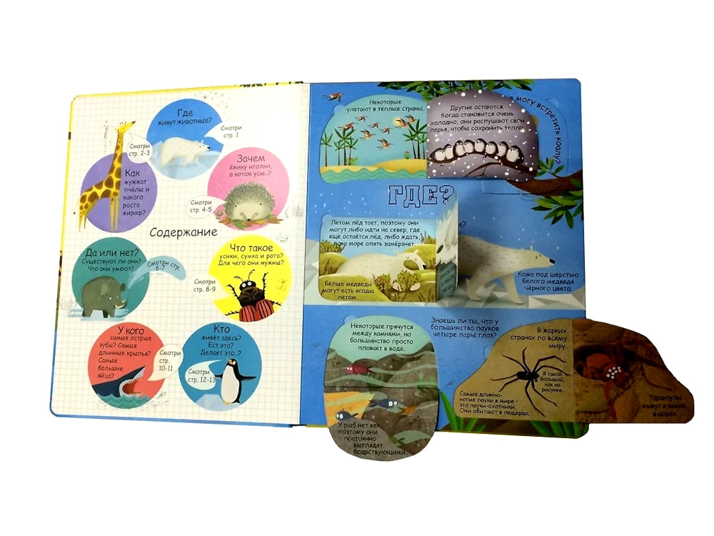 Вопросы и ответы о животных