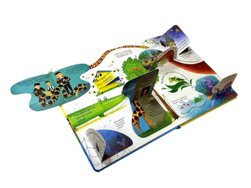 Вопросы и ответы о животных