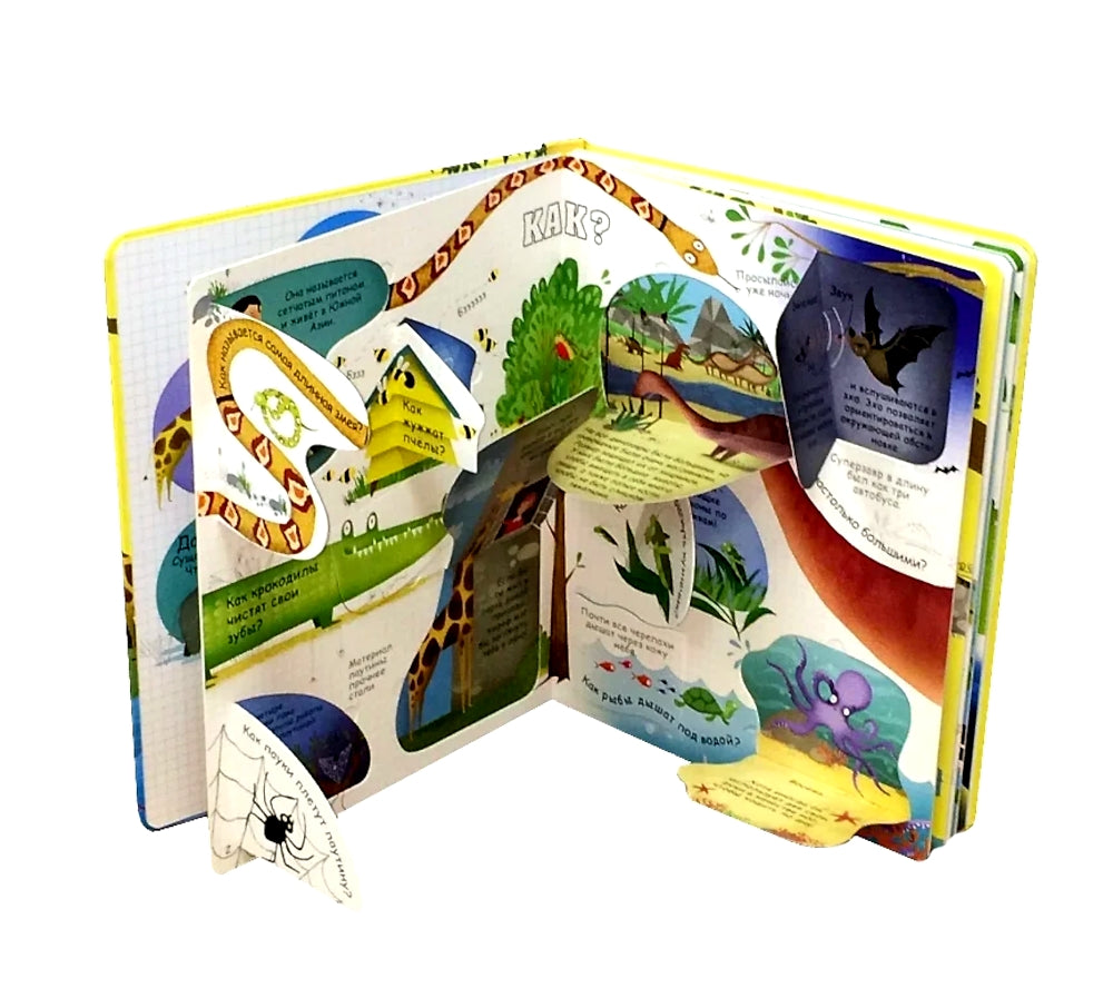 Вопросы и ответы о животных