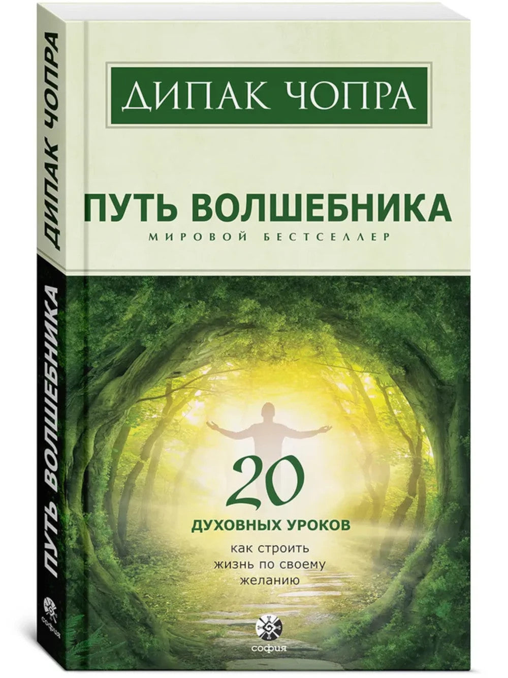 Путь волшебника: 20 духовных уроков; Семь Духовных Законов Успеха: Как воплотить мечты в реальность (комплект из 2-х книг)