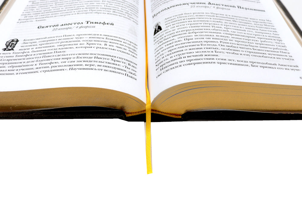 Жития святых. православное семейное чтение (кожа, золот.тиснен., цв.темно-серая)