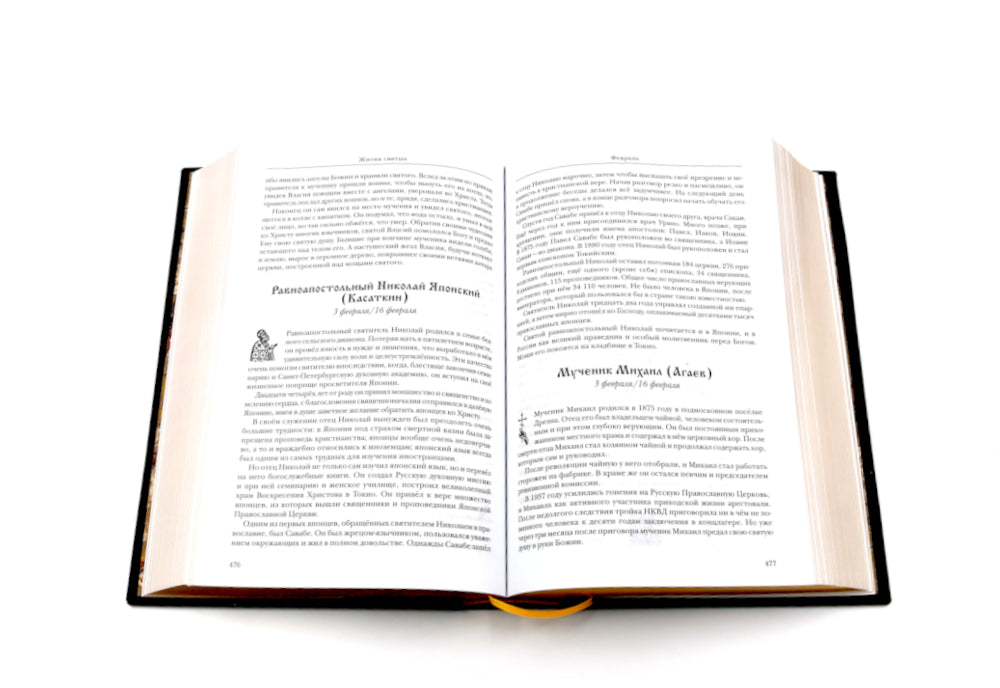 Жития святых. православное семейное чтение (кожа, золот.тиснен., цв.светло-серый)