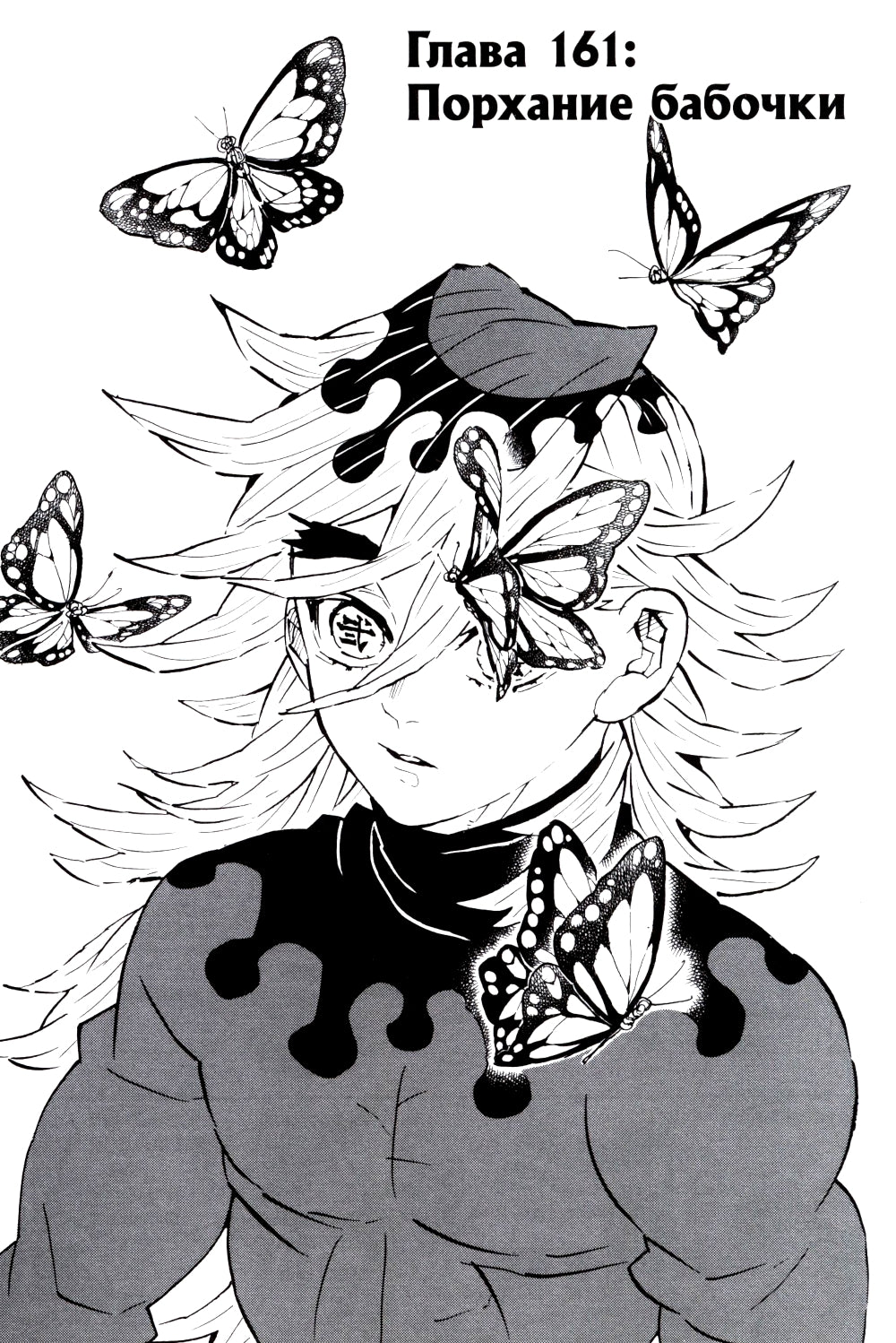 Истребитель демонов. Т. 19: Порхание бабочки: манга