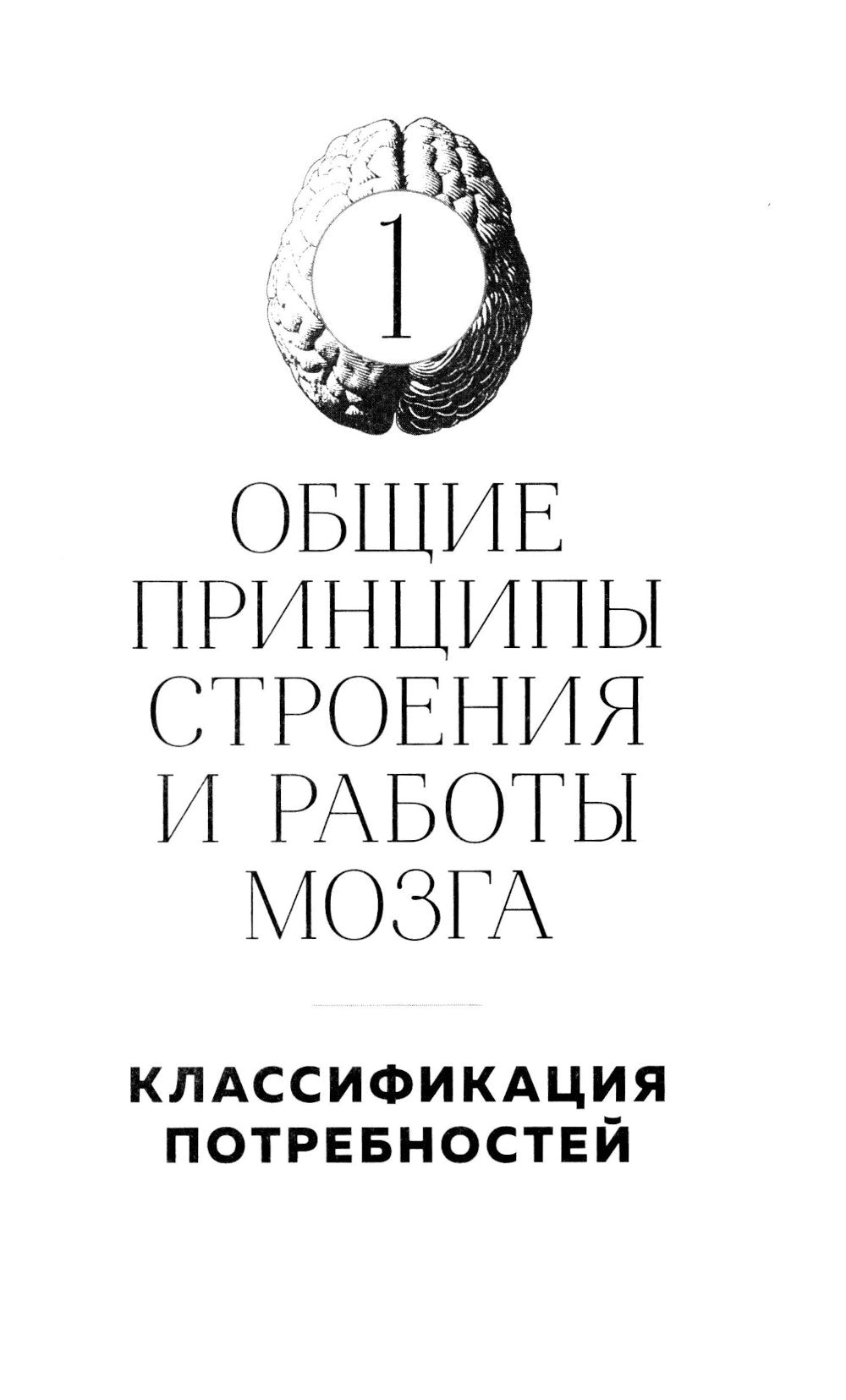 Мозг и его работник. 2.0 от питания до признания