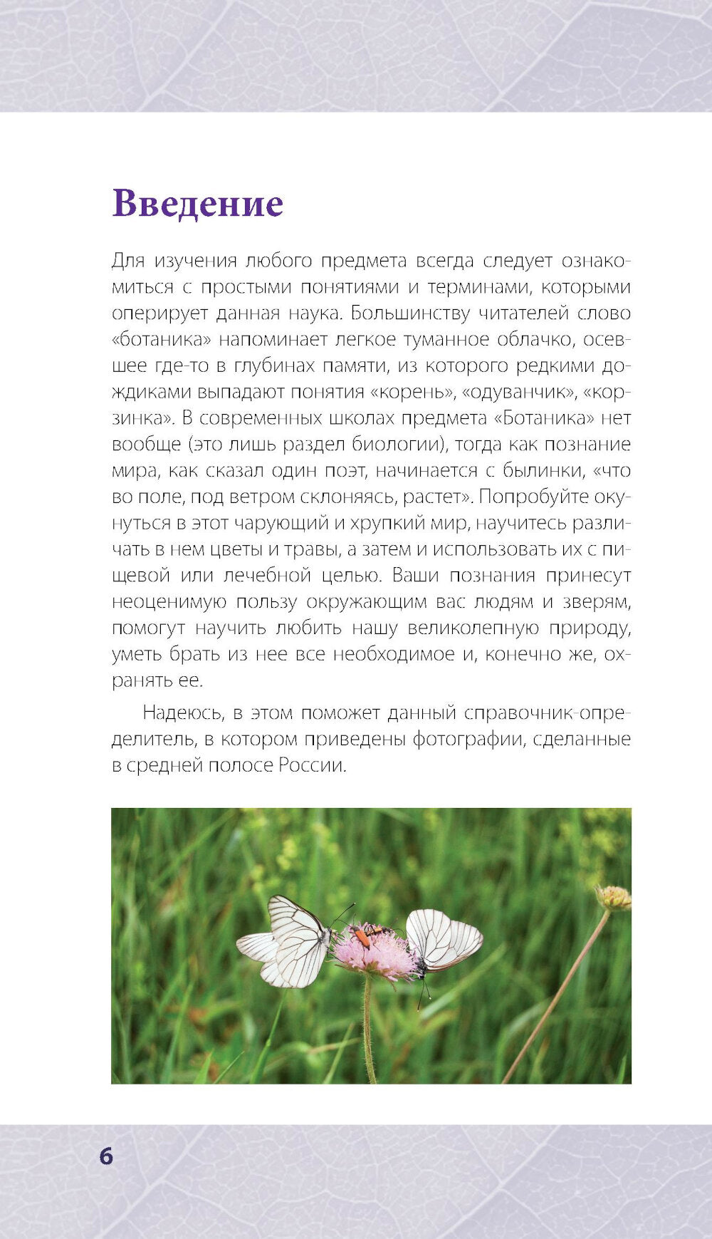 Лечебные травы: иллюстрированный справочник-определитель